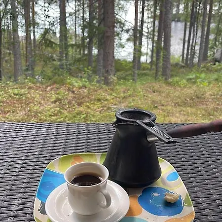 Villa Heart Of Silence - Privacy Leivonmaki (Southern Savonia)
