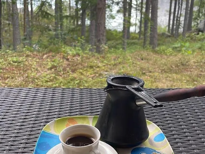 Villa Heart Of Silence Leivonmaki (Southern Savonia)